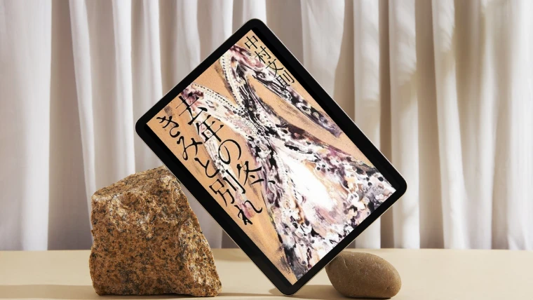 小説『去年の冬、きみと別れ』感想｜ちょっと…あんな狂ってる女性いますかね？